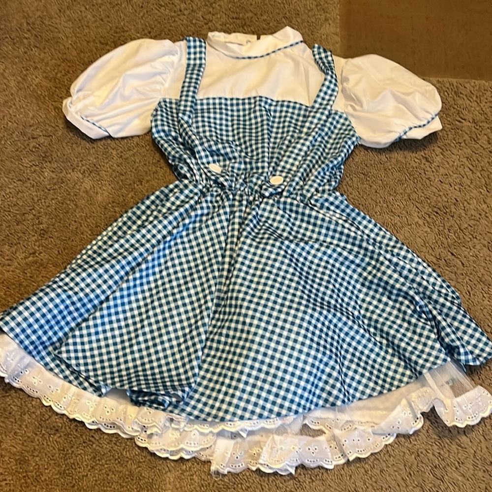 LIKE NEW! Rubie's Blue & White Kids Costume, Dorothy, Wizard of Oz, Girls Large